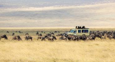 Tanzania is a COVID-19 safe safaris option