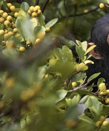 Travel to Uganda