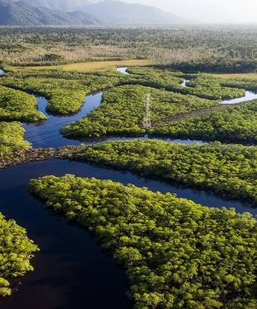 Aerial view of Rainforest, Brazil, South America