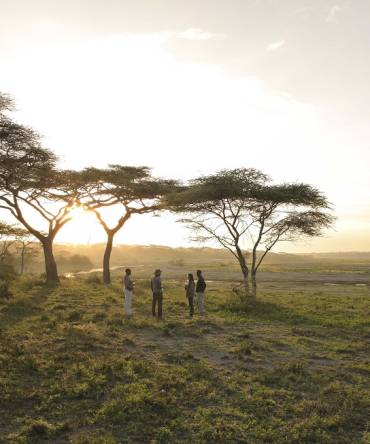 Enchanting Travels Serengeti