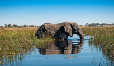 Okavango Delta