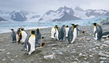 World Explorer (Quark Expeditions)
