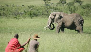 Best Time to Visit Kenya