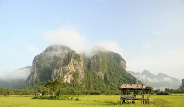 Rice fields, Phonsavan, Laos, Asia