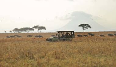 Tanzania - Tarangire