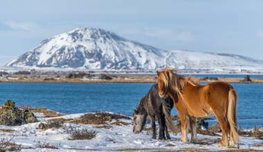 Iceland Tour
