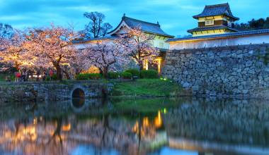 The Thousand Kyoto