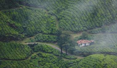 Philip Kutty’s Farm