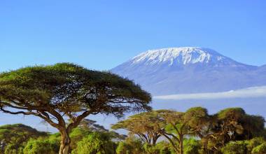Kilimanjaro, Kenya