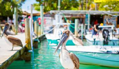 Faro Blanco Resort & Yacht Club