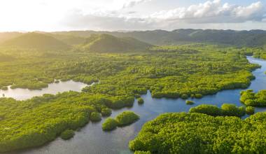 Aerial Drone view of the Anavilhanas archipelago Brazil