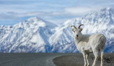 Alaska