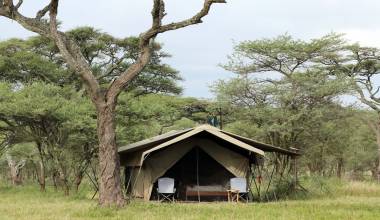 Exterior view of guest tent at Serengeti North Wilderness Camp in Northern Serengeti, Tanzania