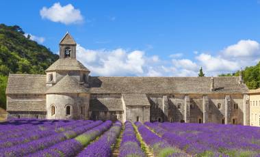 Lavender Field, France