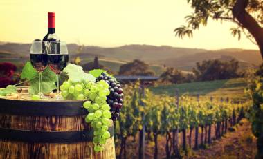 Red wine with barrel on vineyard in green Tuscany, Italy