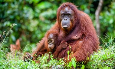 Best Time to Visit Malaysia