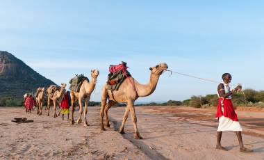 Ten Best Things to do in Africa
