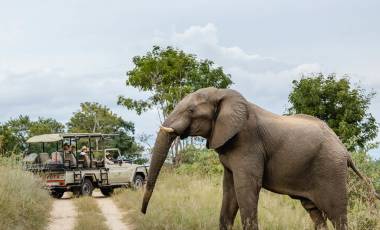 Beste Reisezeit Botswana