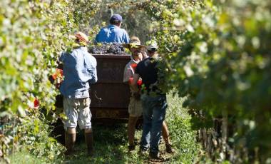 Die besten Weinbauregionen in Argentinien