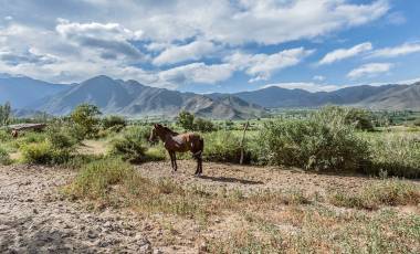 Salta la Linda bietet zauberhafte Landschaften