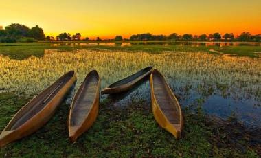 Africa Safaris: Top 5 Things to do at the Okavango Delta