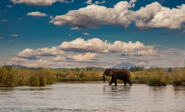 Muchenje Safari Lodge