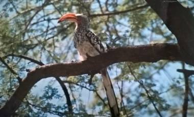 Namibia Sehenswürdigkeiten