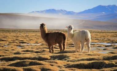 Beste Reisezeit Peru