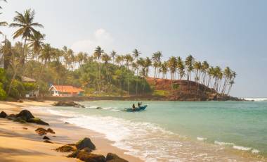 Coconut palm and sun lights through trees on beach with fishermen which is going to the water, Mirissa, Sri Lanka