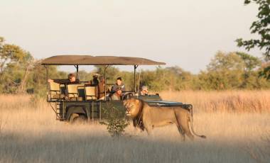 The Best Ever Luxury Safari Tours in Zimbabwe