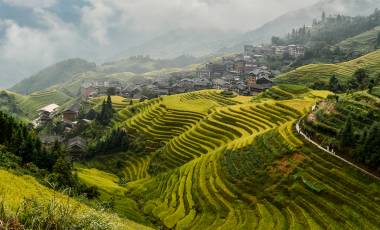 View of ripen rice terraces in Guilin, China, in harvest time. Clouds above rice terrace and mountains village on the right