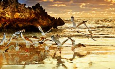 Enchanting Travels Australia Tours - Two Rocks Sunset - Perth Australia - Best trips to take in 2020