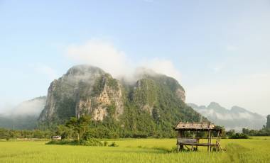 Rice fields, Phonsavan, Laos, Asia