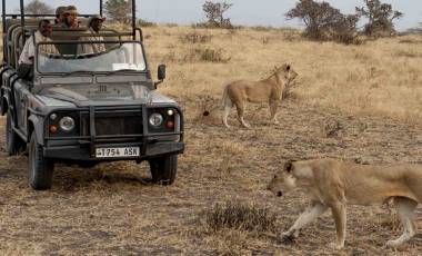 Enchanting Travels - Tanzania Tours - Selous Hotels - Lake Manzi Camp Selous - Game Drive 4