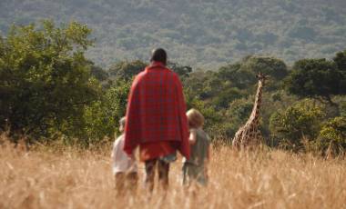 Go on a nature walk to spot animals