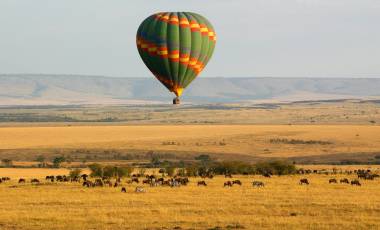 Hot air balloon over the Masai Mara, Kenya, Africa