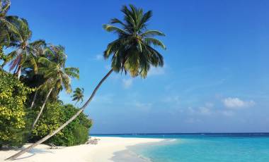 Maldives Travel Guide