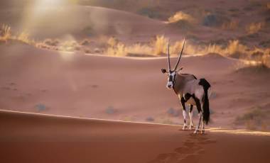 Beste Reisezeit Namibia