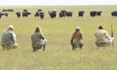 OPBC-walking-safari-animals