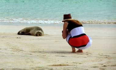 Photographing a seal on the beach - Visit the Galapagos Islands