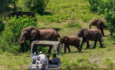 People watching Elephants from a boat Chobe National Park Botswana Africa