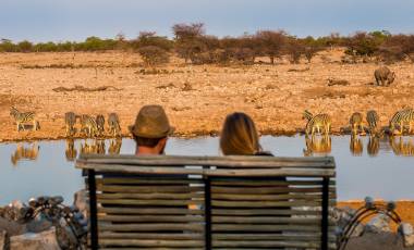 wildlife safari in Namibia