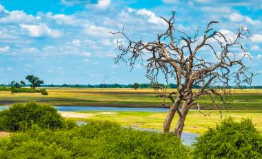 Chobe Game Lodge