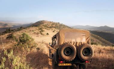 Wild & Tranquil Africa Game Safaris in Kenya Uncovered