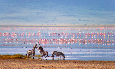 Ngorongoro Crater Lodge