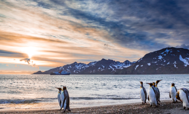 Best Time to Visit Antarctica