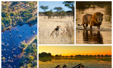 Africa Safaris: Top 5 Things To Do At The Okavango Delta