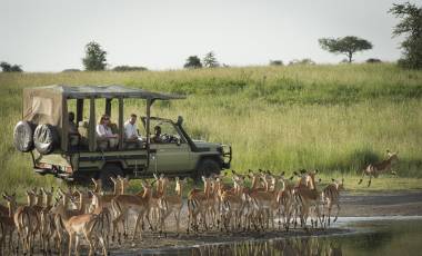 Serengeti North Wilderness Camp