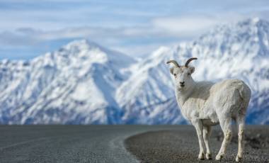 Alaska