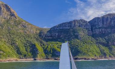 Perfiles de la Tripulación